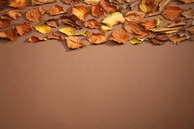 Photo of Dry autumn leaves on brown background, top view. Space for text