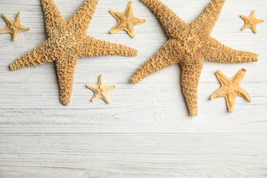 Photo of Beautiful sea stars on white wooden background, flat lay. Space for text