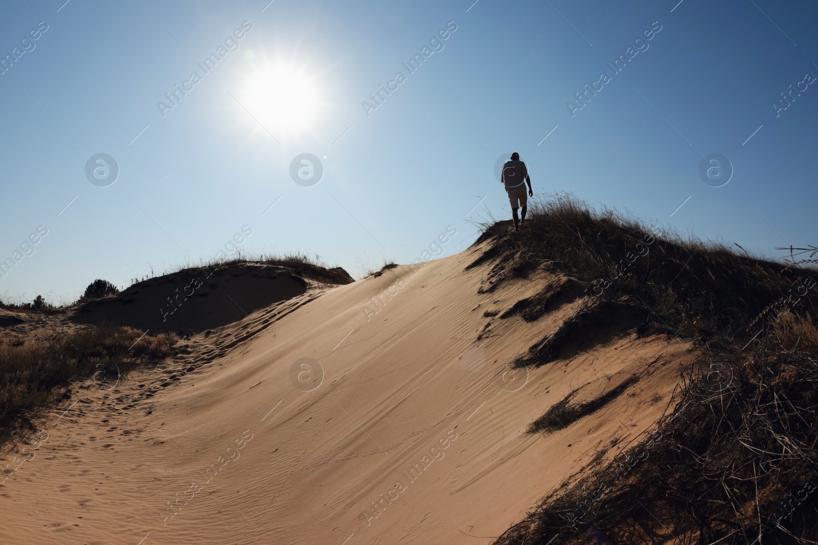 Photo of Man walking through desert on sunny day, back view