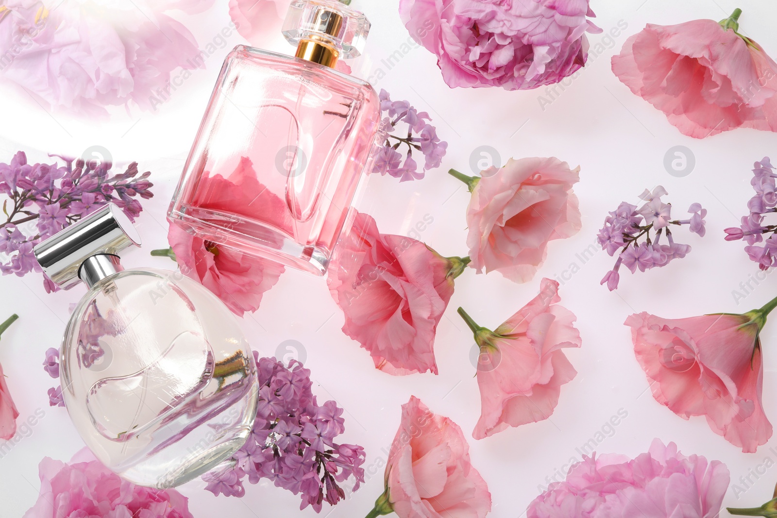 Photo of Luxury perfumes on spring floral decor, above view