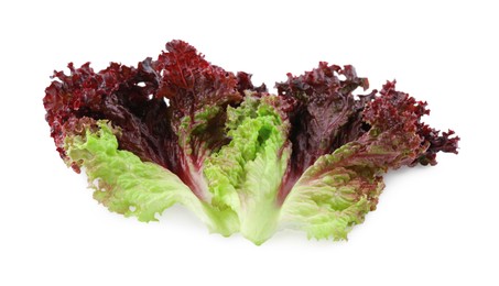Photo of Leaves of fresh red coral lettuce isolated on white