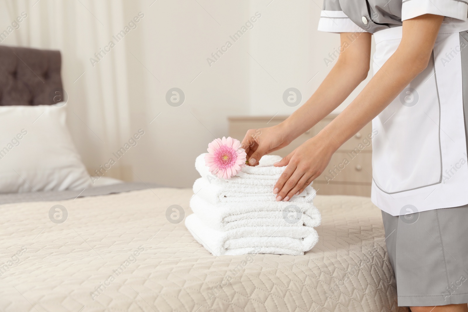 Photo of Chambermaid putting flower on fresh towels in hotel room, closeup. Space for text