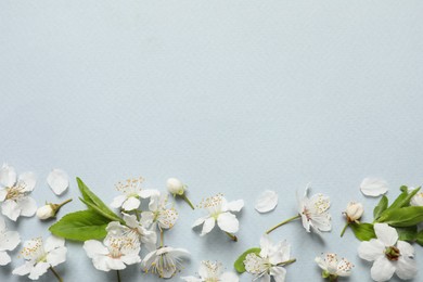 Photo of Spring tree blossoms as border on light background, flat lay. Space for text
