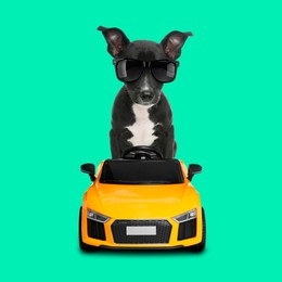Image of Adorable puppy with stylish sunglasses in toy car on turquoise background