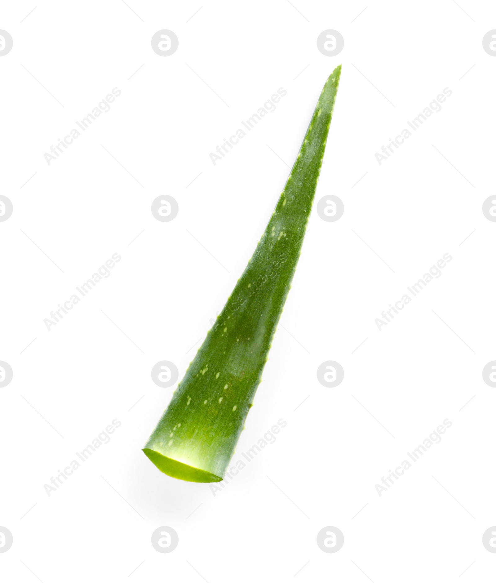 Photo of Green aloe vera leaf isolated on white, top view