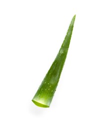 Green aloe vera leaf isolated on white, top view