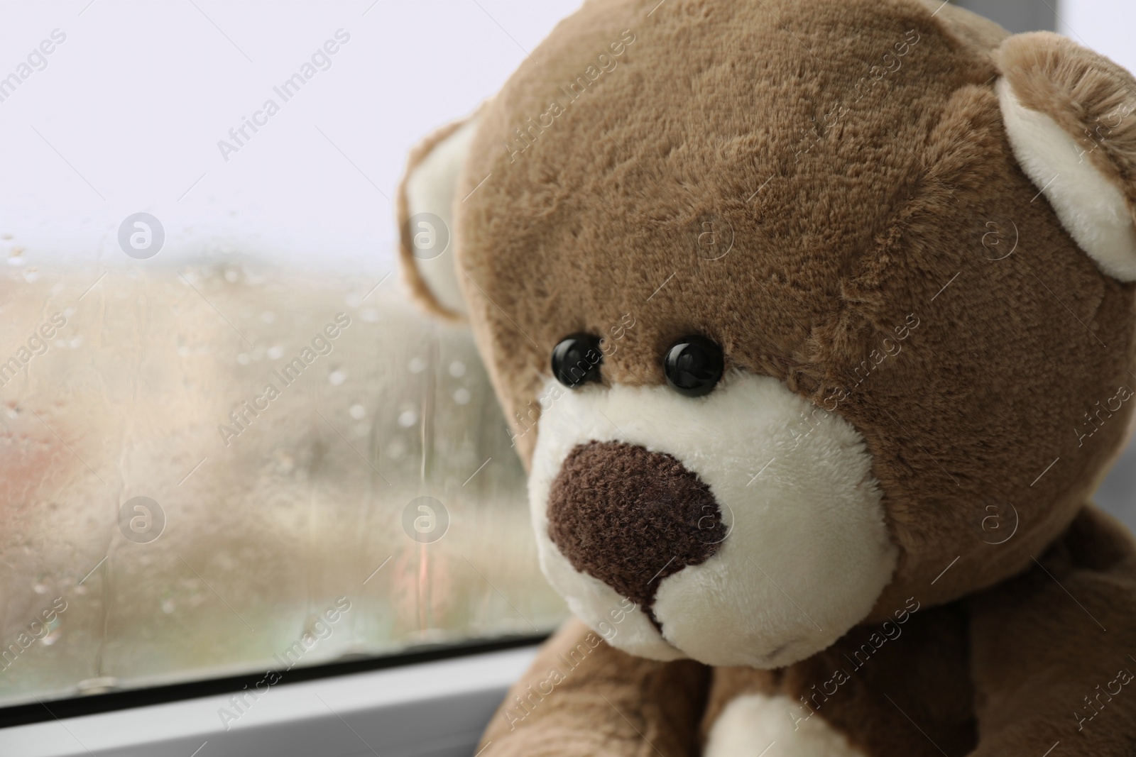 Photo of Cute lonely teddy bear on windowsill indoors, closeup. Space for text