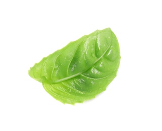 Fresh green basil leaf on white background