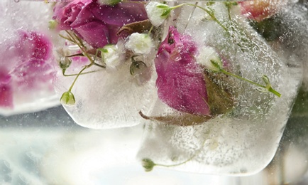 Photo of Floral ice cubes in water as background, closeup view