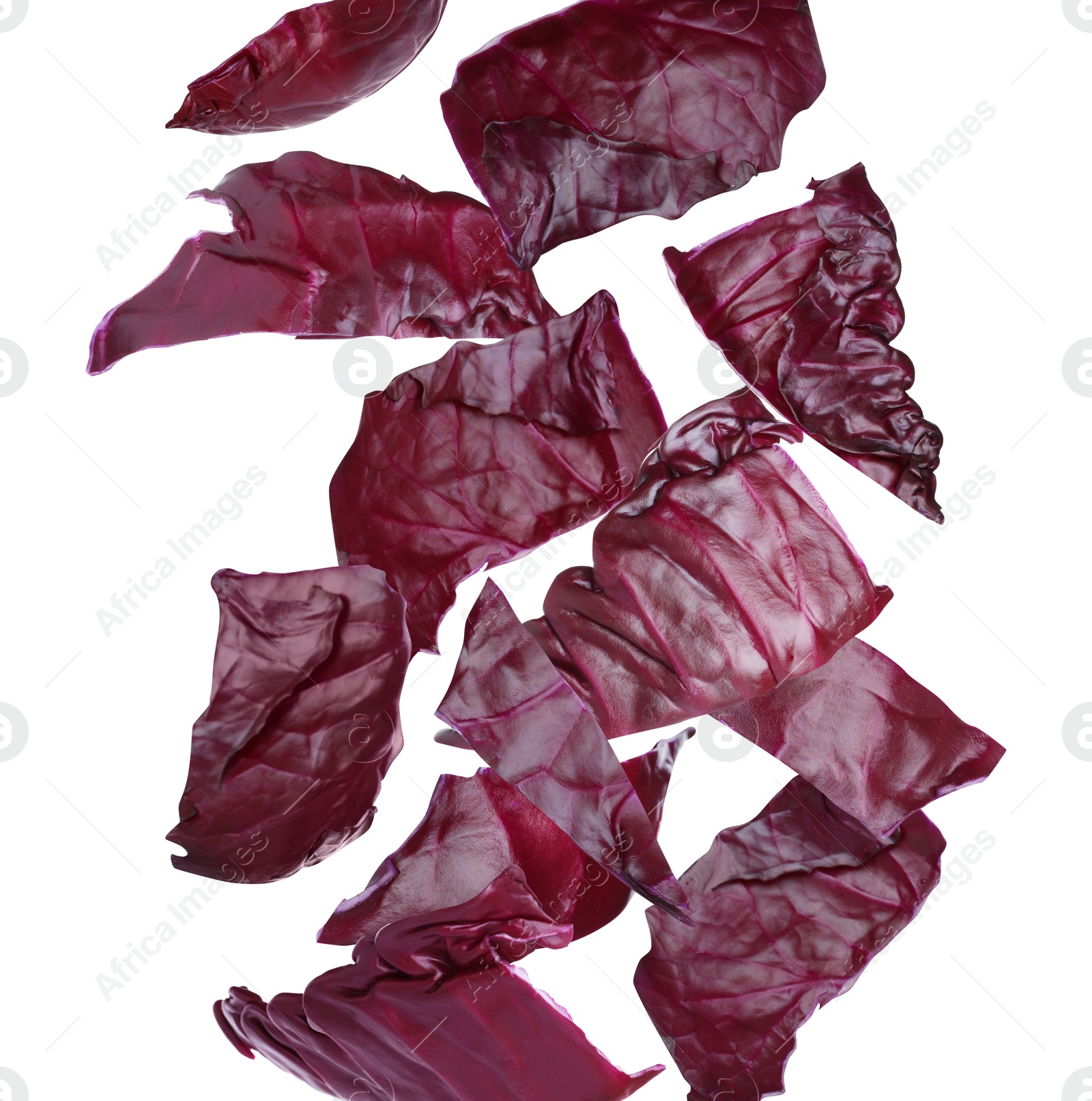 Image of Red cabbage leaves falling on white background