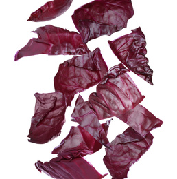 Image of Red cabbage leaves falling on white background