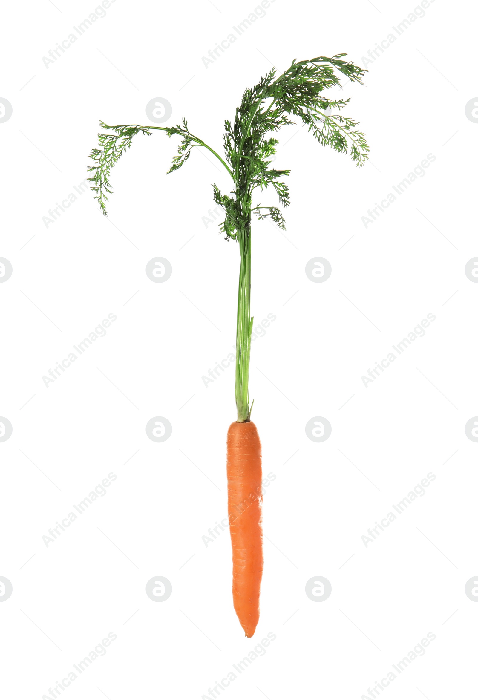 Photo of Ripe carrot on white background. Healthy diet