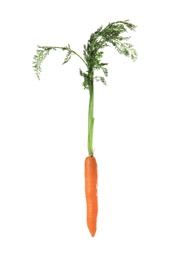 Photo of Ripe carrot on white background. Healthy diet