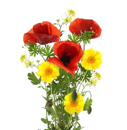Image of Bouquet of beautiful meadow flowers isolated on white