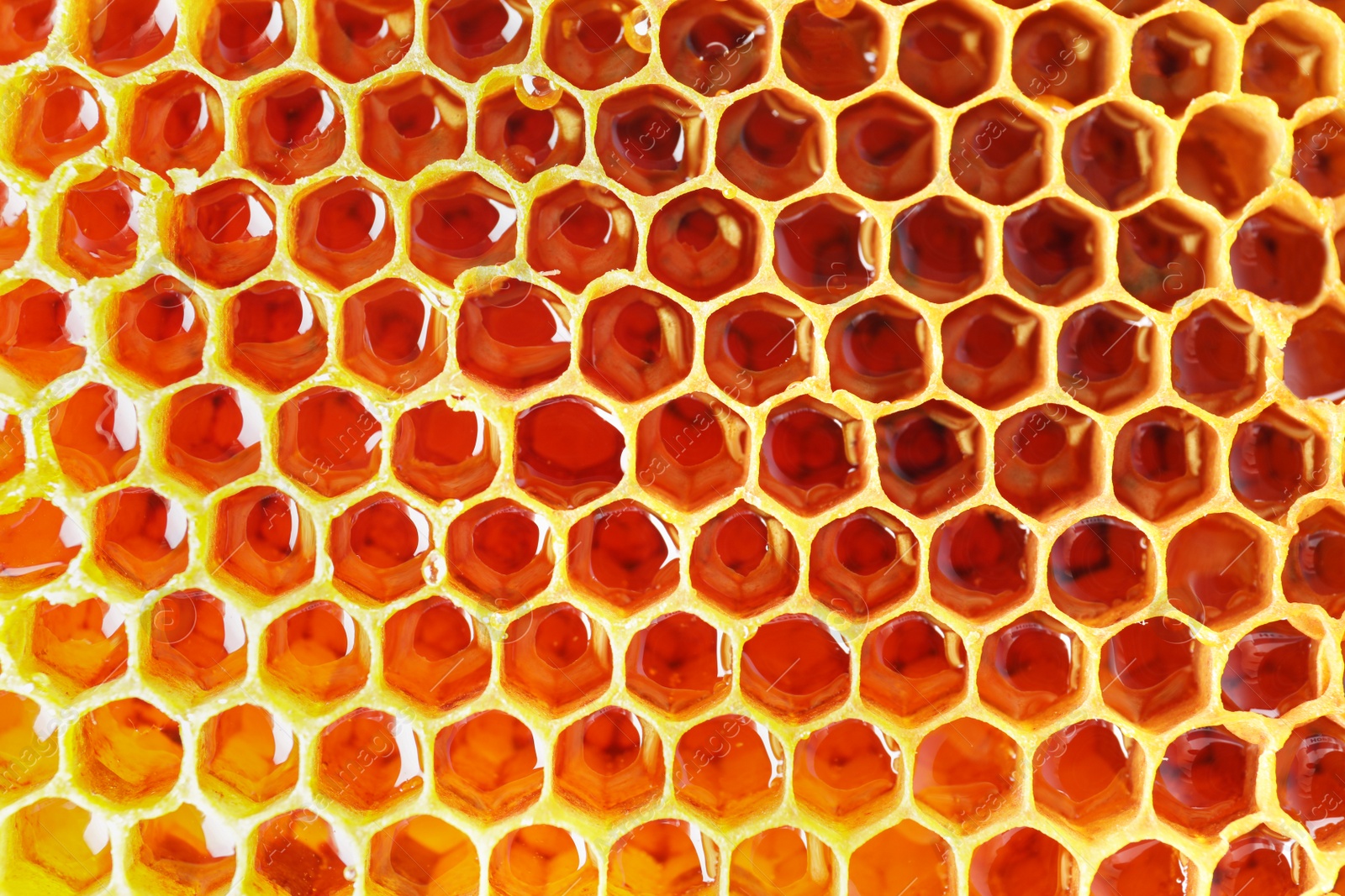 Photo of Filled honeycomb as background. Healthy natural sweetener