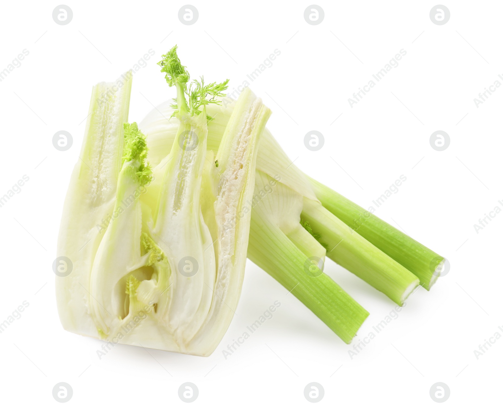 Photo of Whole and cut fennel bulbs isolated on white