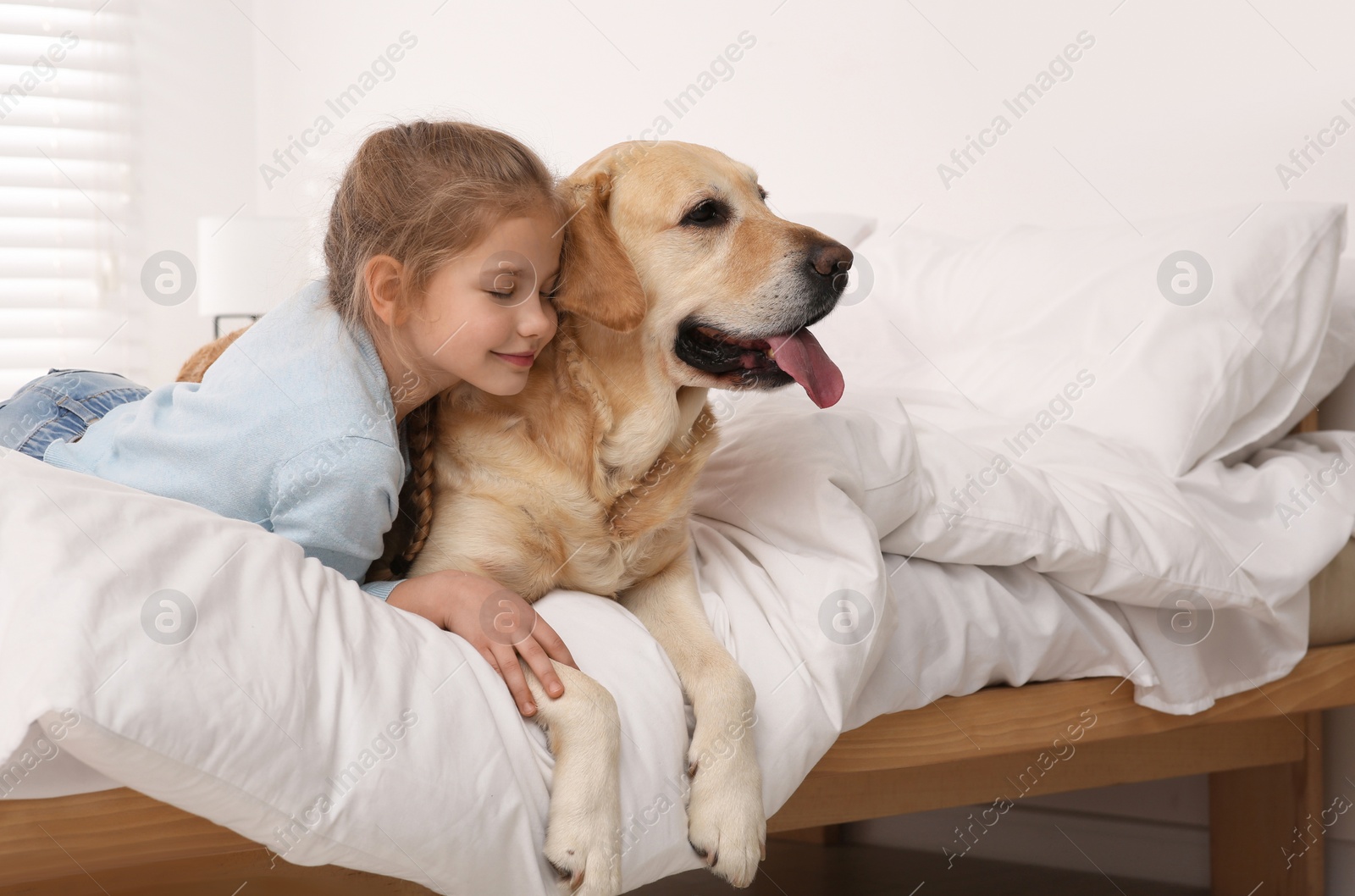 Photo of Young girl with her adorable dog on bed at home. Space for text