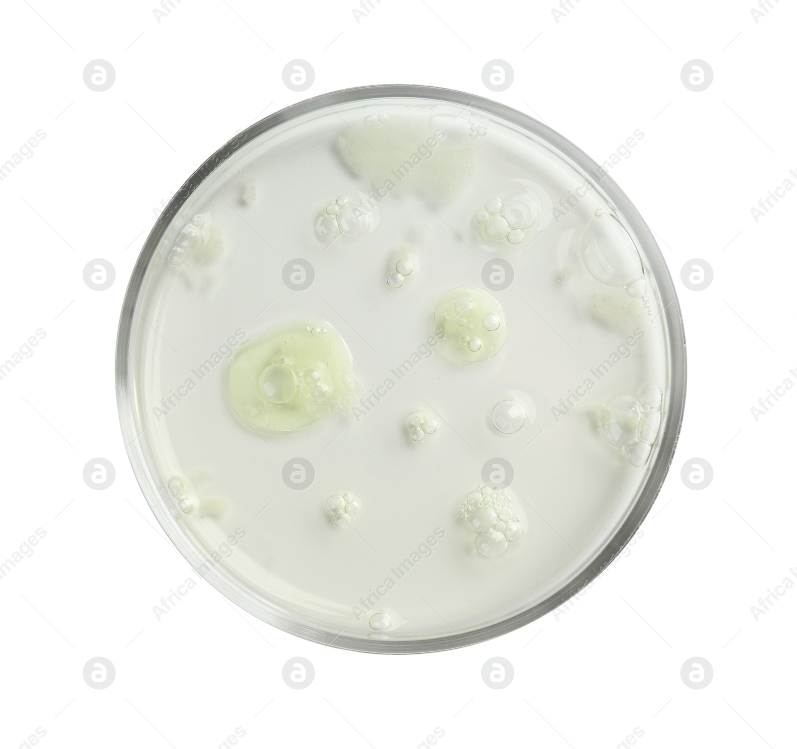 Photo of Petri dish with liquid sample on white background, top view