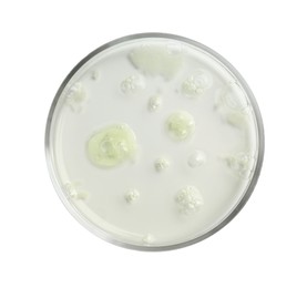 Photo of Petri dish with liquid sample on white background, top view