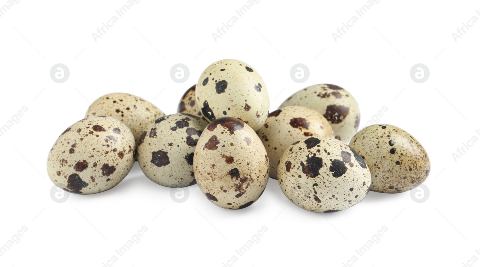 Photo of Many beautiful quail eggs on white background