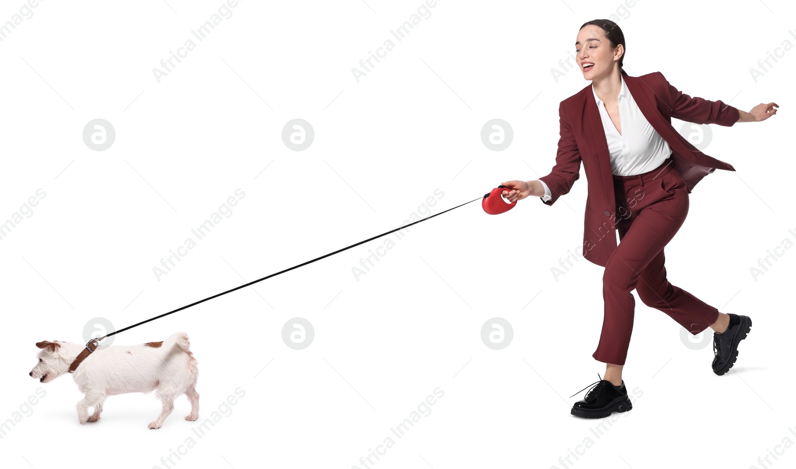 Image of Smiling businesswoman walking with dog on white background