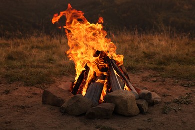 Photo of Beautiful bonfire with burning firewood outdoors at night. Camping season