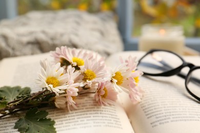 Open book with chamomile flowers as bookmark, scented candle and glasses on table near window, closeup