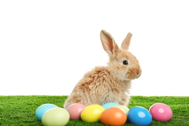 Adorable furry Easter bunny and dyed eggs on green grass against white background