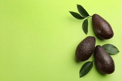 Ripe avocadoes and leaves on green background, flat lay. Space for text