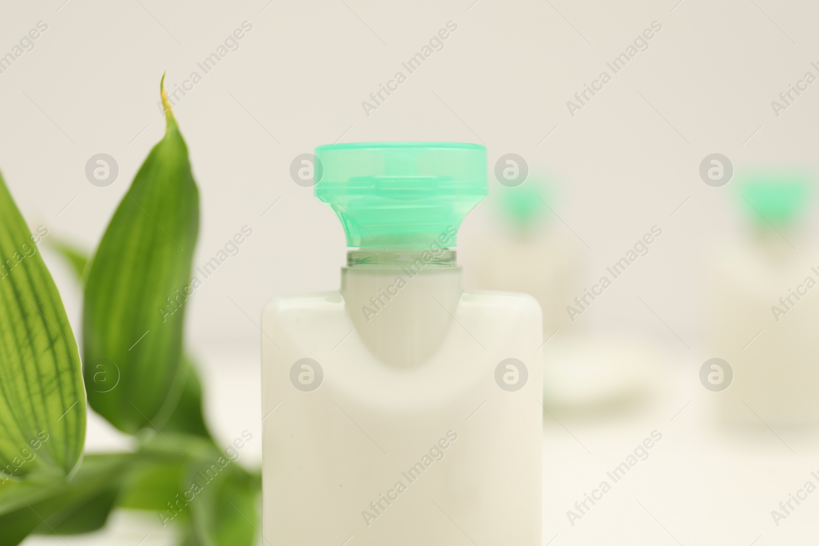 Photo of Mini bottle of cosmetic product and green branch on light background, closeup