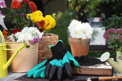 Photo of Gardening gloves and different flowers on table outdoors