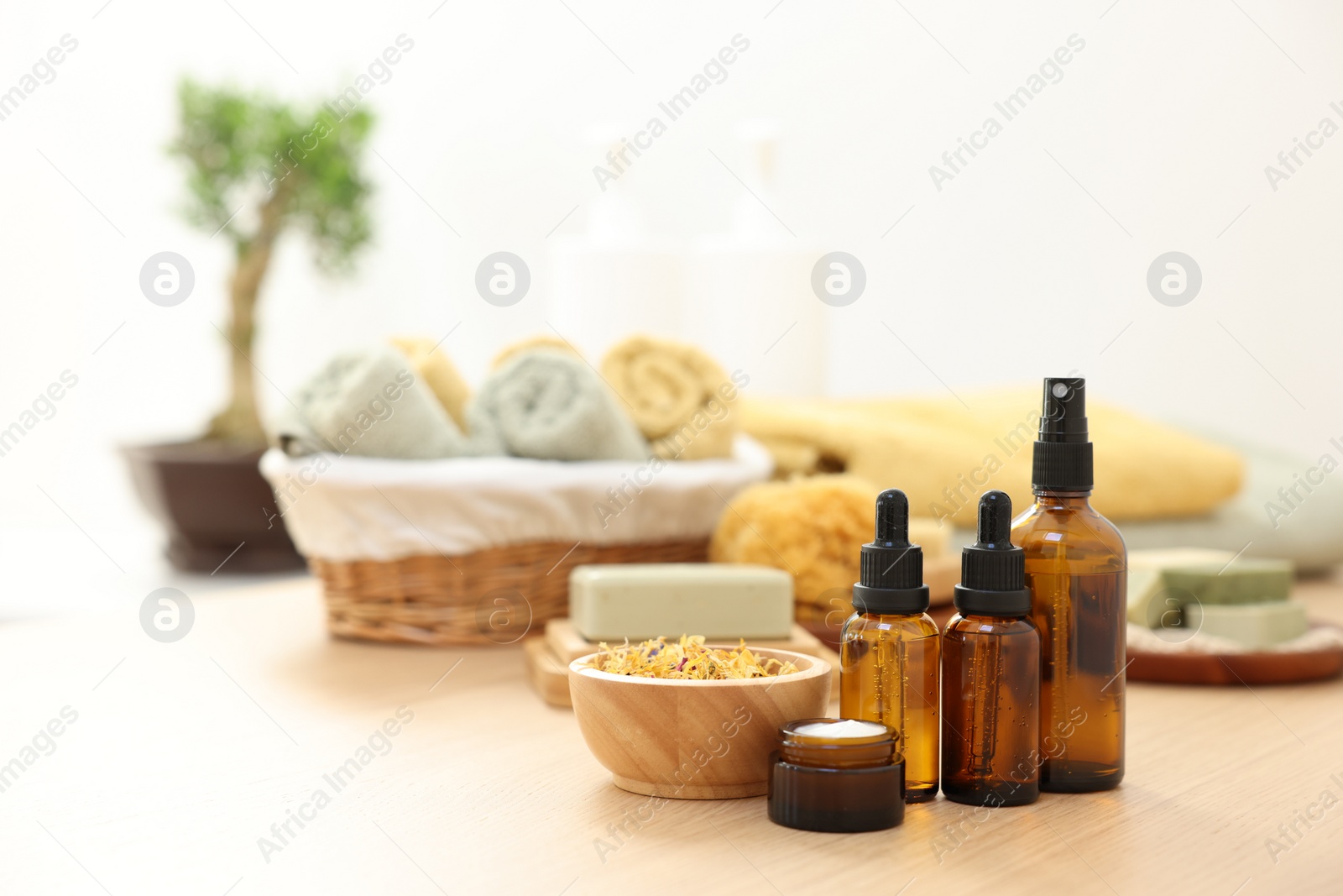 Photo of Bottles of essential oils, dry flowers and jar with cream on light wooden table, space for text. Spa therapy