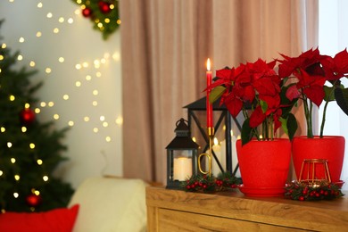 Potted poinsettias, burning candles and festive decor on dresser in room, space for text. Christmas traditional flower
