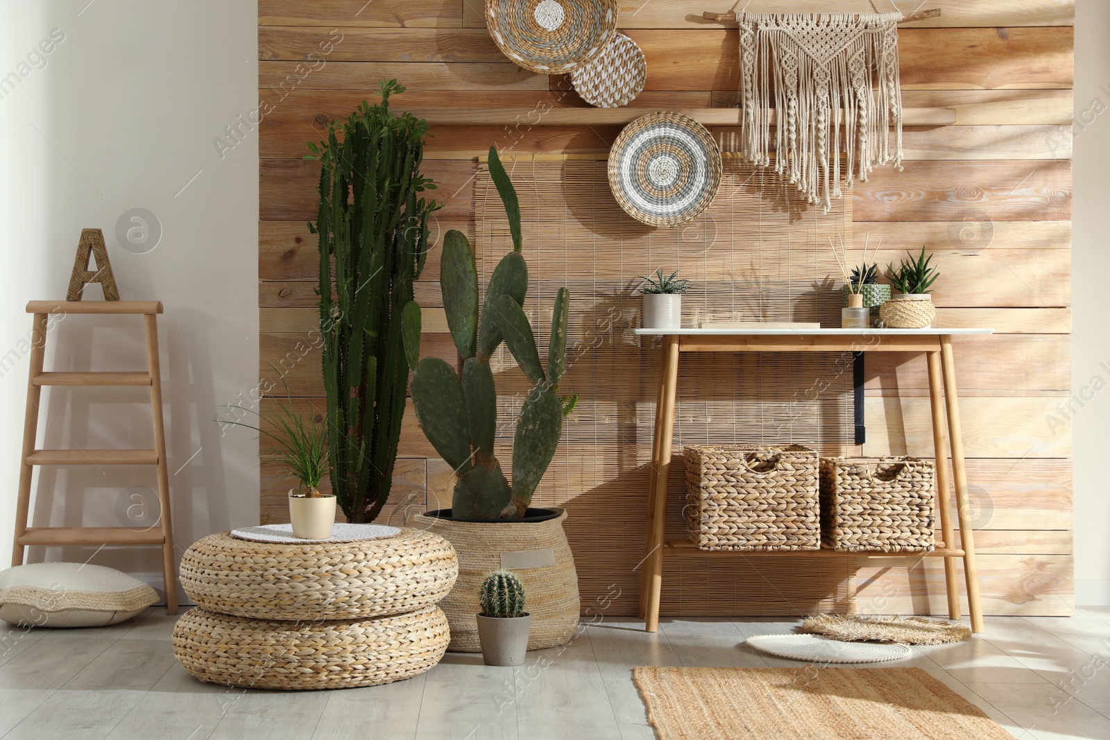 Photo of Room interior with stylish decor and console table