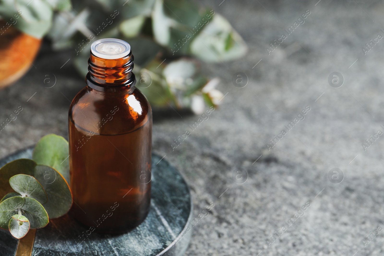 Photo of Bottle of eucalyptus essential oil and plant branches on grey table, space for text