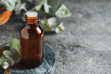 Photo of Bottle of eucalyptus essential oil and plant branches on grey table, space for text