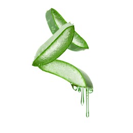 Aloe vera leaf cross sections with juice in air on white background