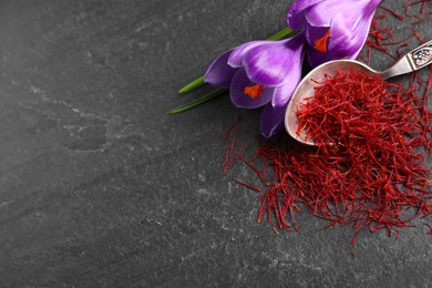 Photo of Dried saffron and crocus flowers on grey table, above view. Space for text