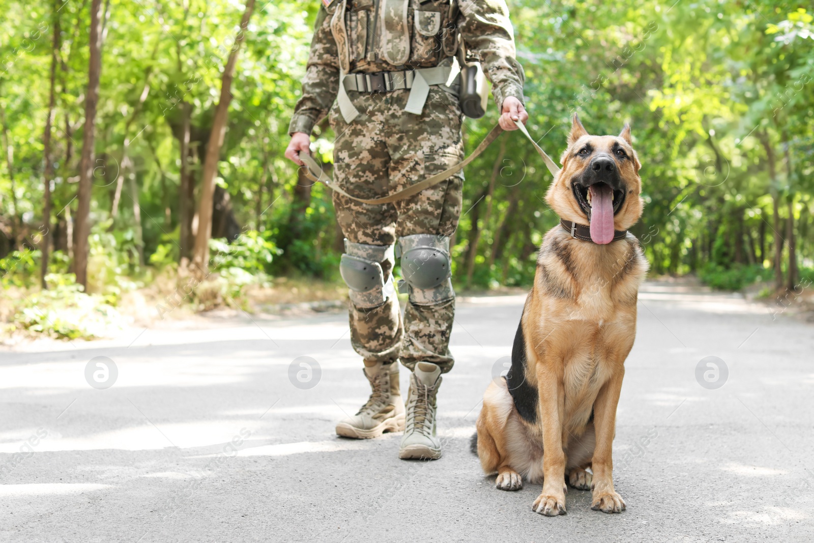 Photo of Man in military uniform with German shepherd dog outdoors