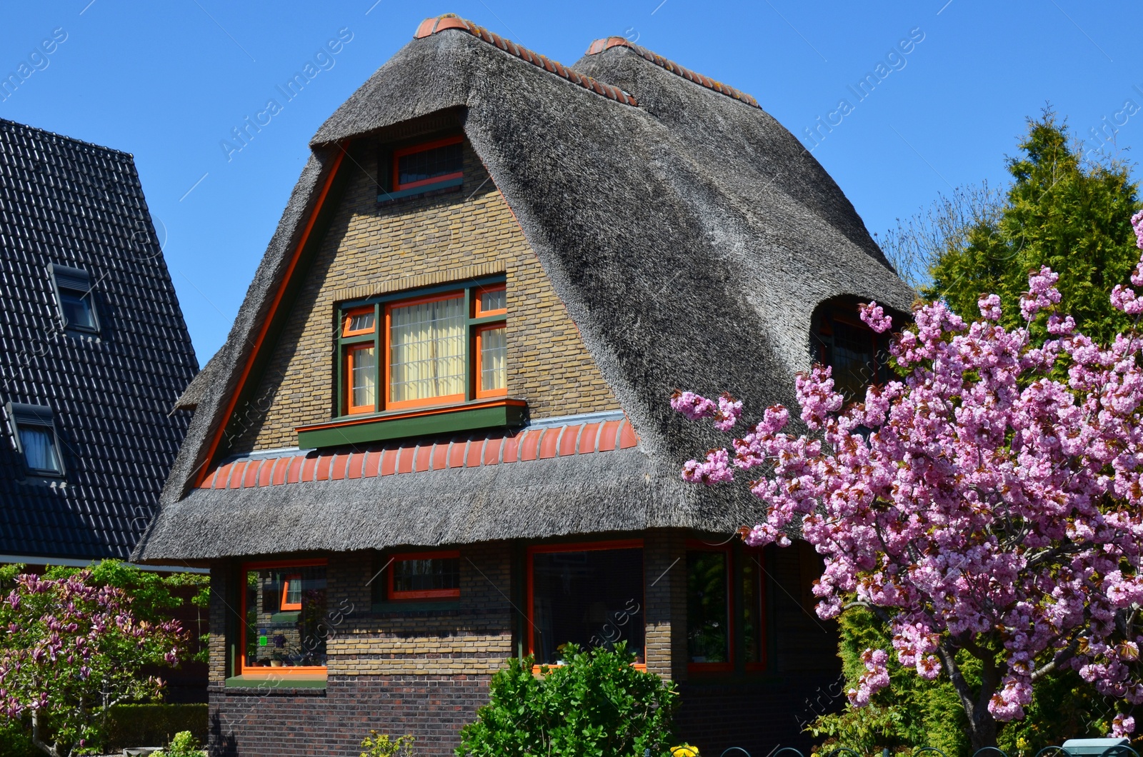 Photo of Beautiful residential building with lovely garden on sunny spring day