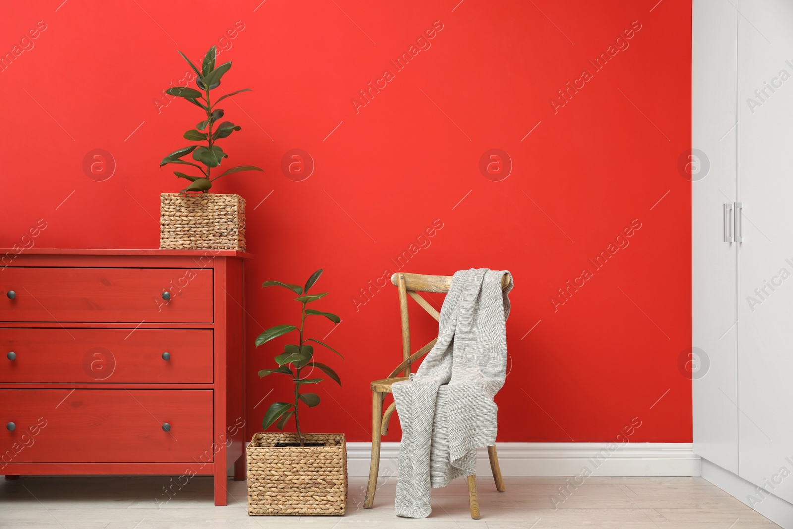 Photo of Tropical plants in wicker pots near red wall at home