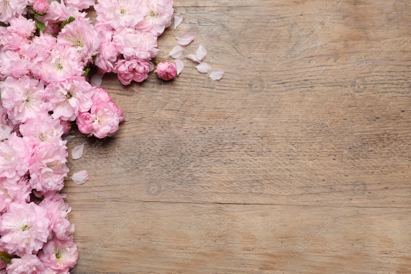 Photo of Beautiful sakura tree blossoms on wooden background, flat lay. Space for text