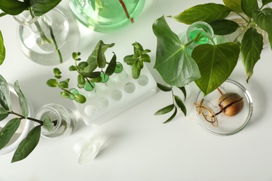 Photo of Laboratory glassware with plants on white background, top view. Chemistry concept