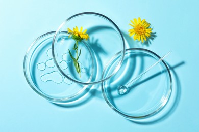 Photo of Flat lay composition with Petri dishes and flowers on light blue background