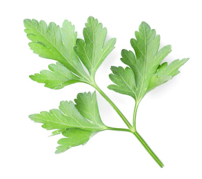 Photo of Fresh green organic parsley isolated on white