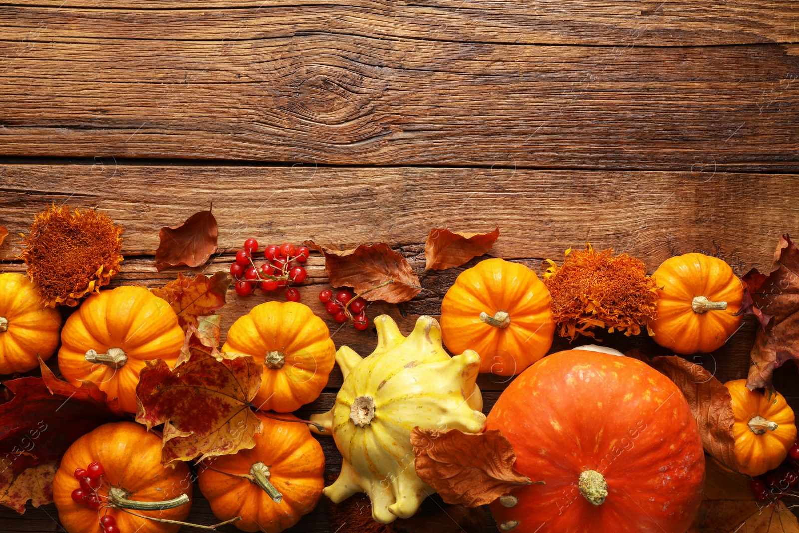 Photo of Dry autumn leaves and pumpkins on wooden table, flat lay. Space for text