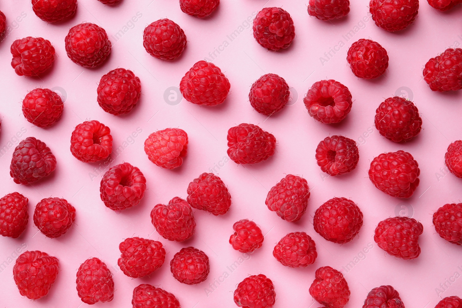 Photo of Tasty ripe raspberries on pink background, flat lay