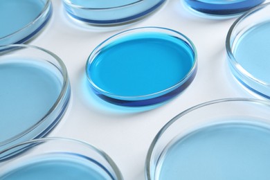 Many Petri dishes with light blue liquids on white background, closeup