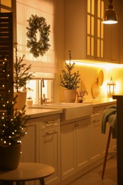 Photo of Beautiful kitchen decorated with potted firs. Interior design