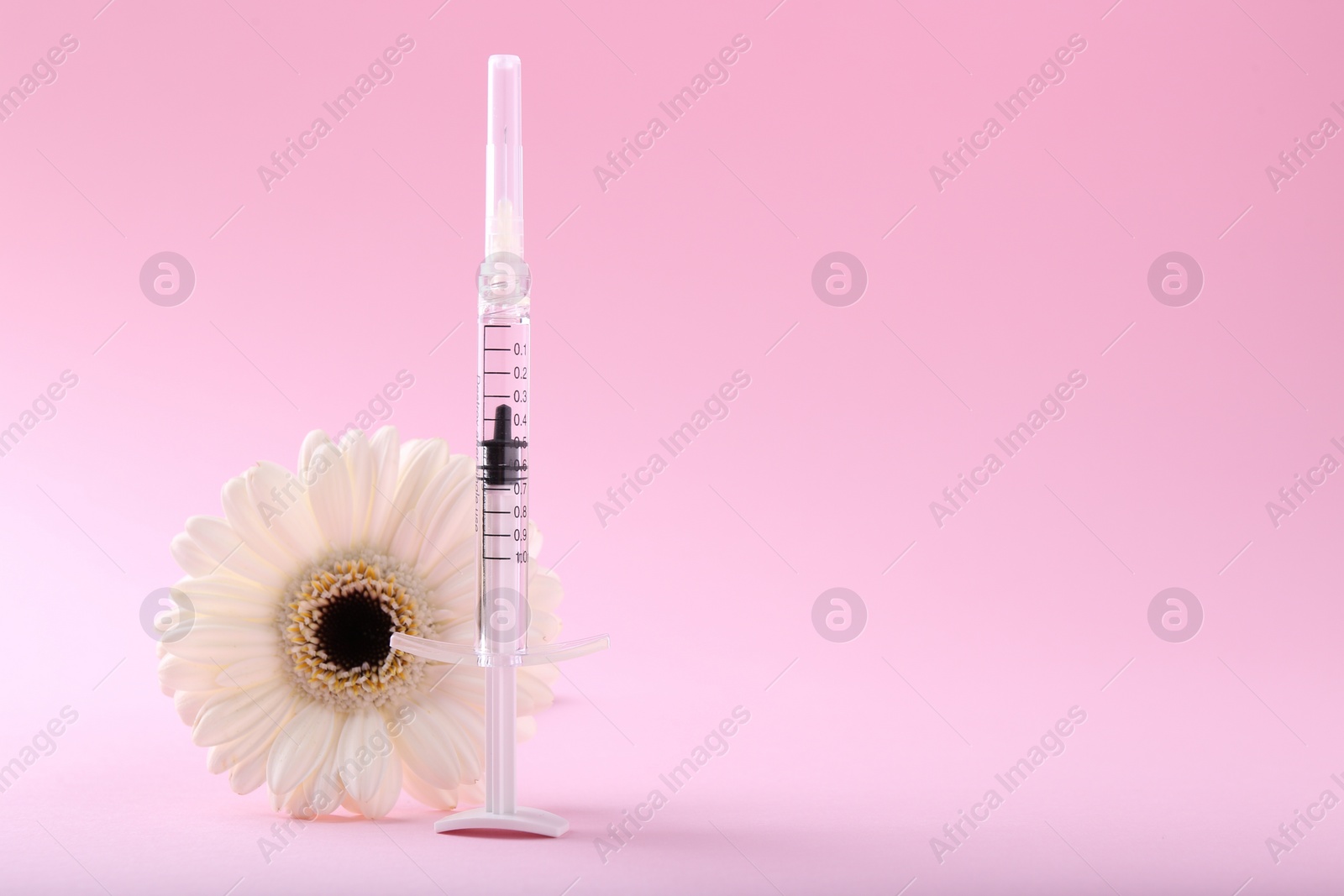 Photo of Cosmetology. Medical syringe and gerbera flower on pink background, space for text